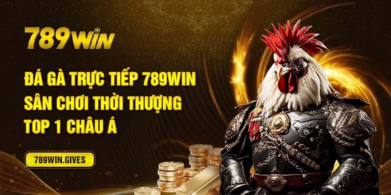 Đá Gà Trực Tiếp 789Win - Sân Chơi Thời Thượng Top 1 Châu Á