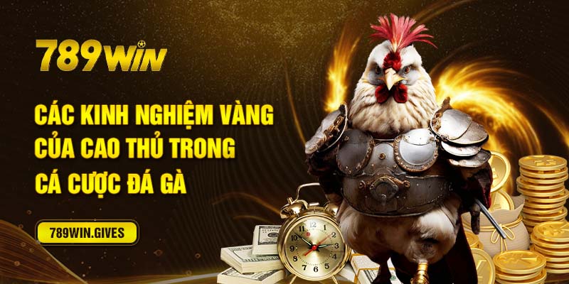 Kinh nghiệm vàng của cao thủ khi cá cược đá gà