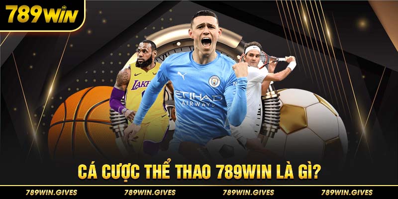 Cá cược thể thao 789Win là gì?